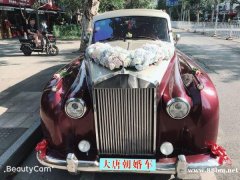 武汉结婚租车找婚车租赁公司就到大唐朝正规专业可靠
